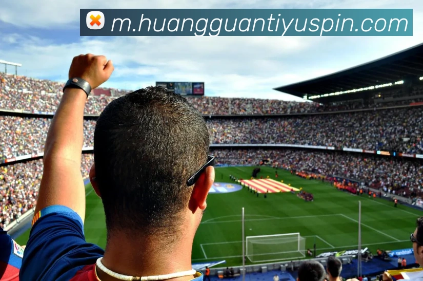 皇冠体育APP 高清赛事图